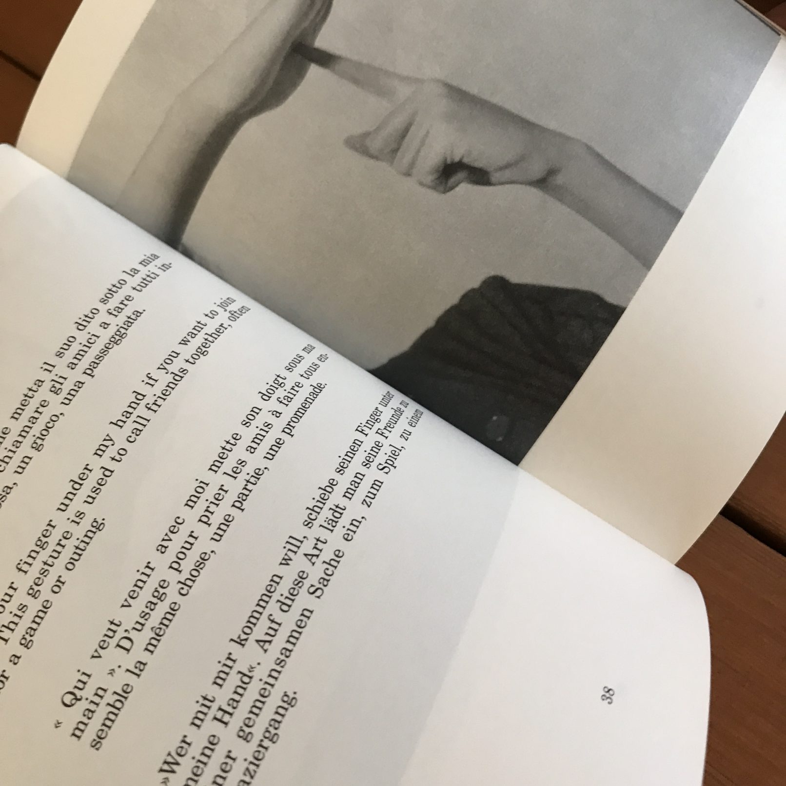 Supplement to the Italian dictionary