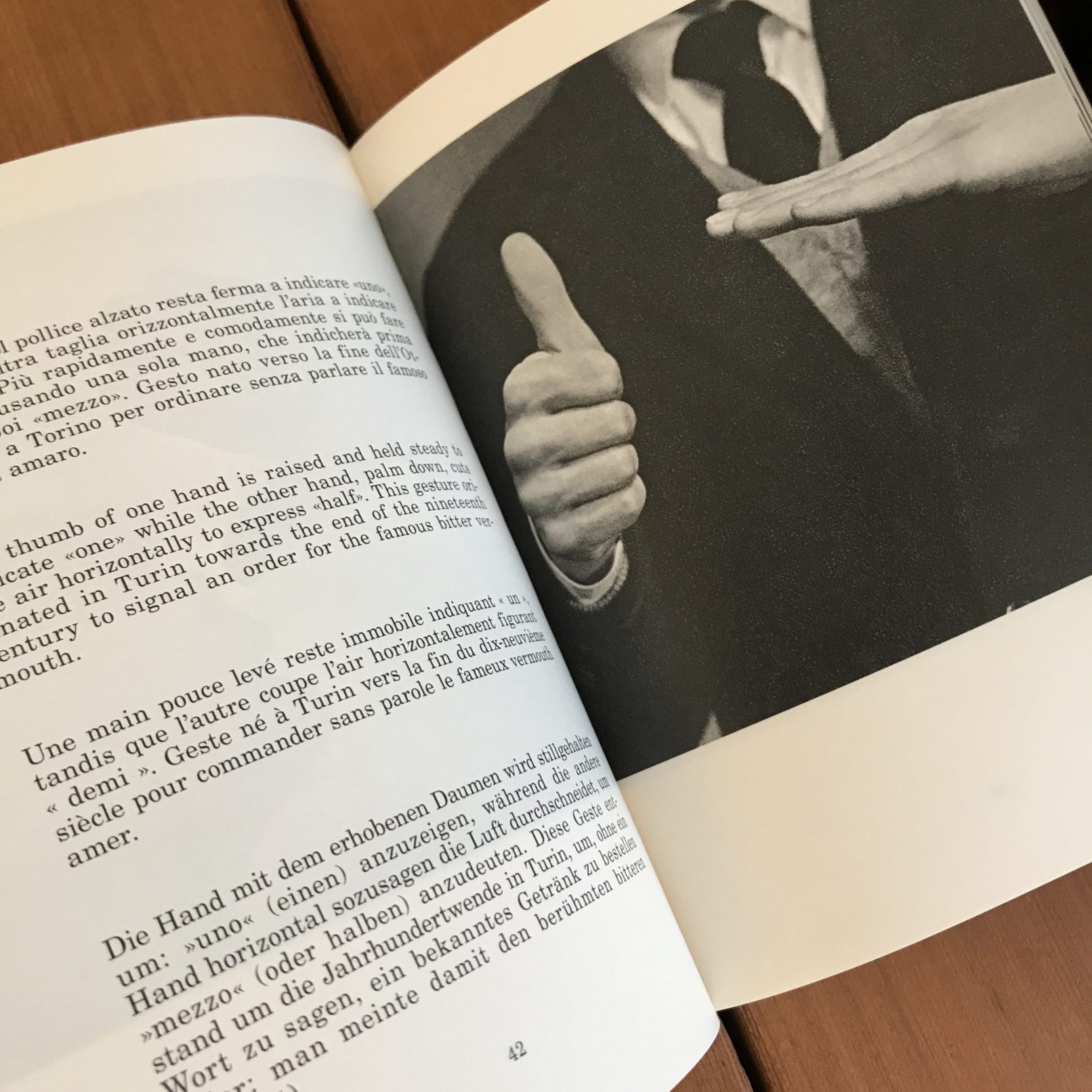 Supplement to the Italian dictionary