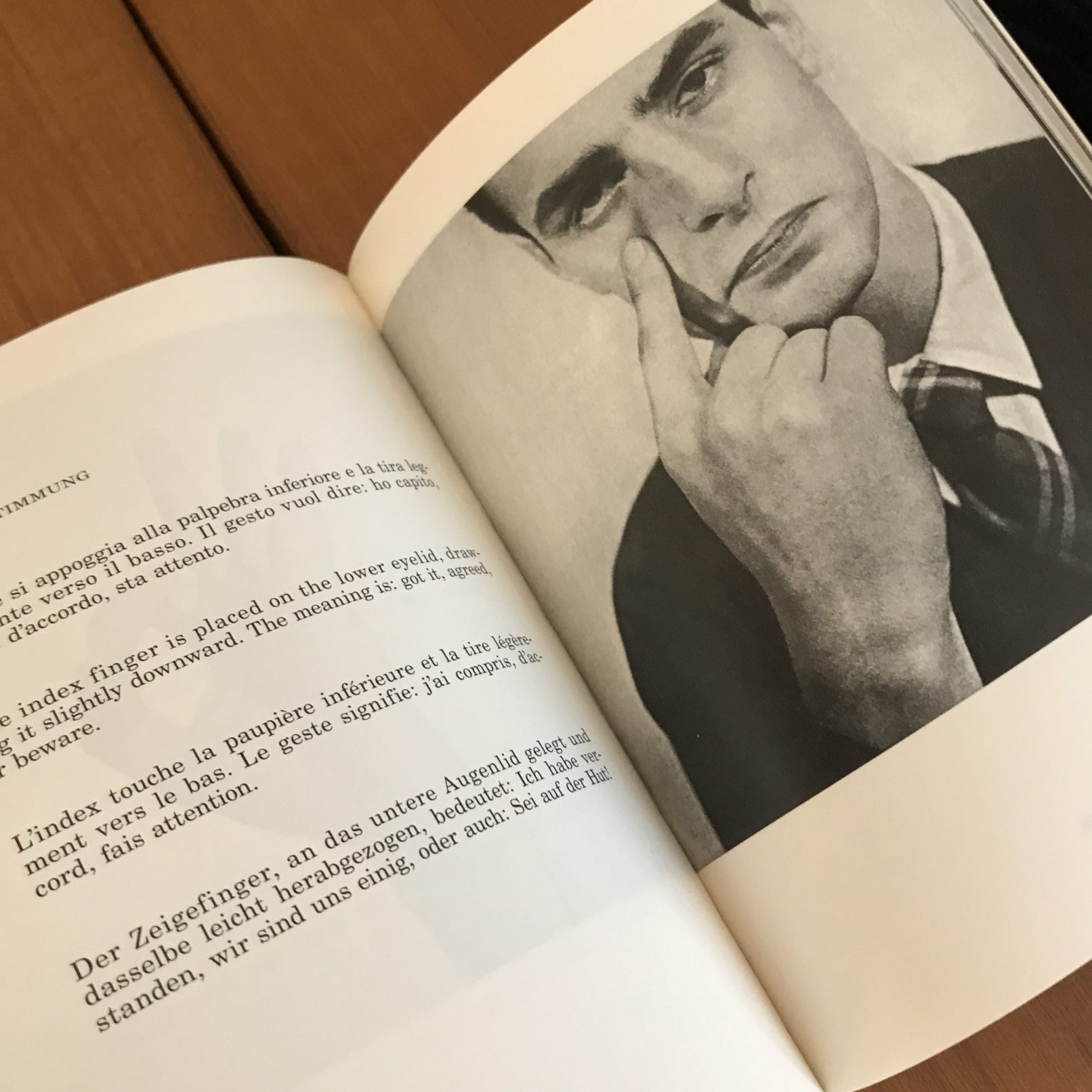 Supplement to the Italian dictionary