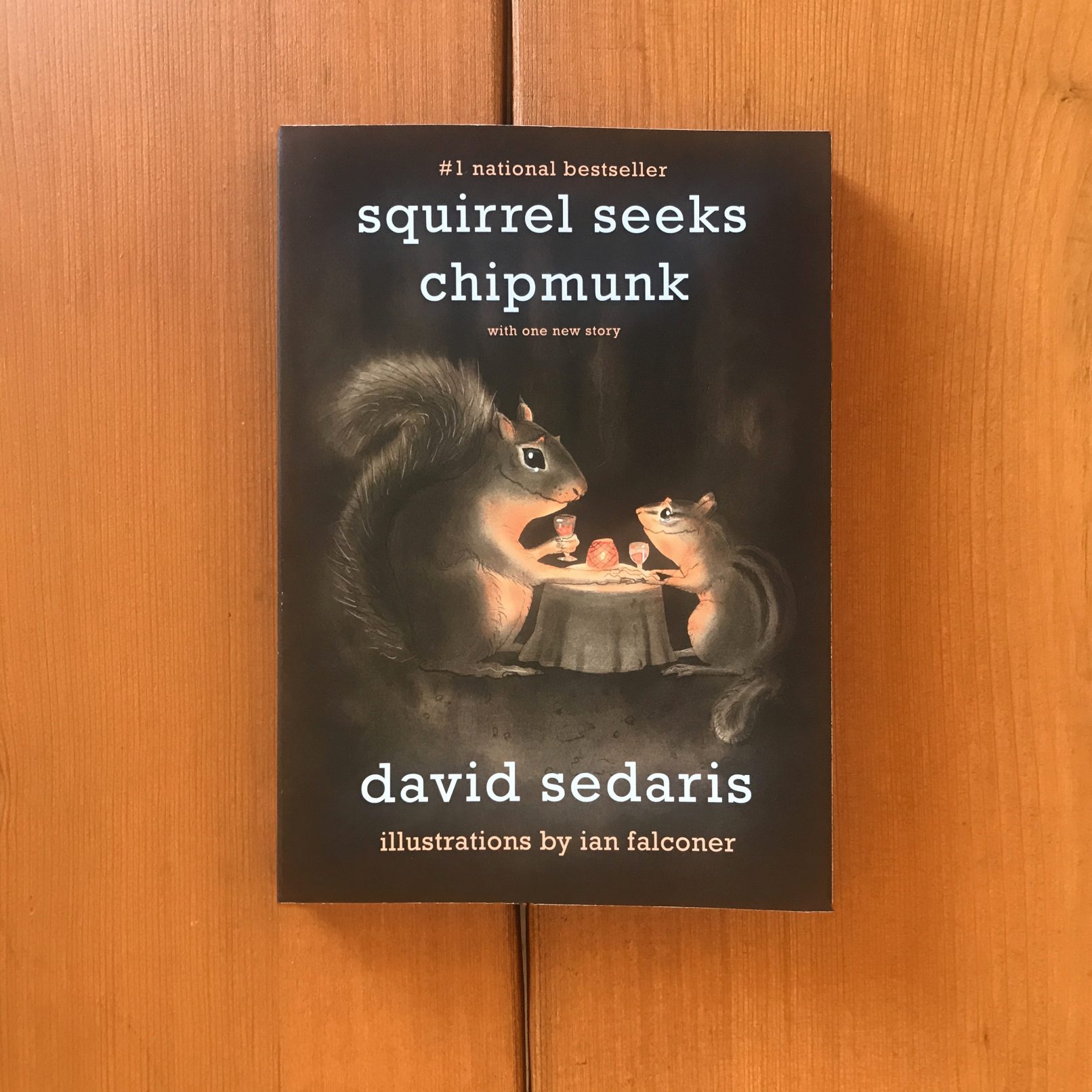 squirrel seeks chipmunk